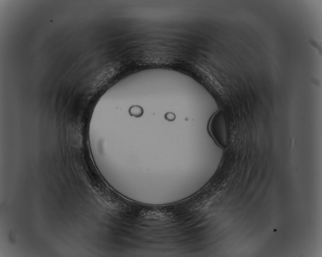 X0000092330635200710051315