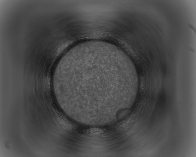X0000092330636200710051315