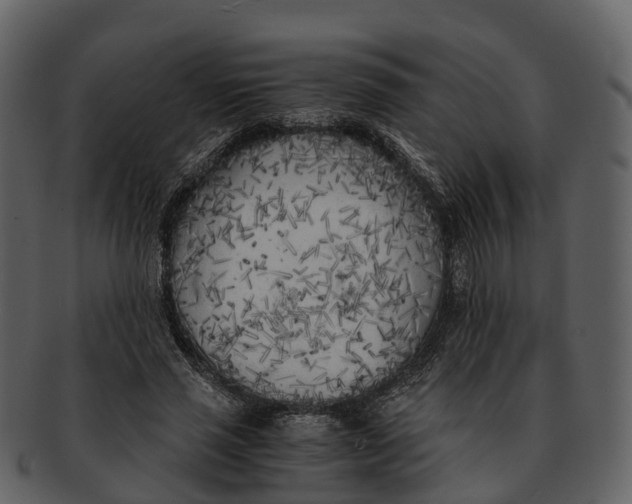 X0000092330637200710051315