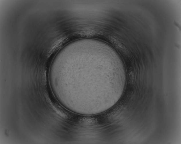 X0000092330638200710051315