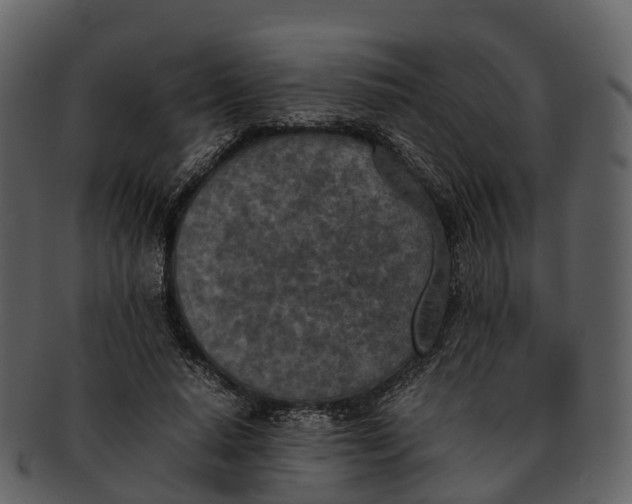 X0000092330640200710051315