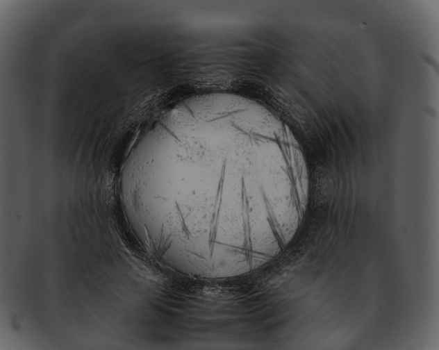 X0000092330641200710051315