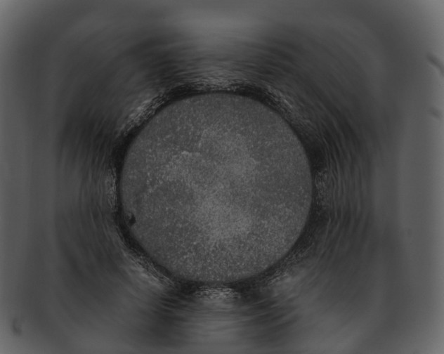 X0000092330642200710051315