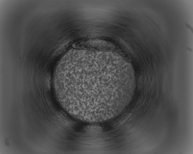 X0000092330644200710051315
