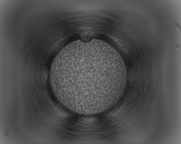 X0000092330645200710051315