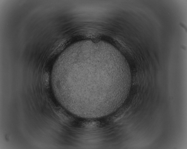 X0000092330646200710051315
