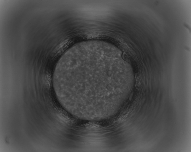 X0000092330648200710051315