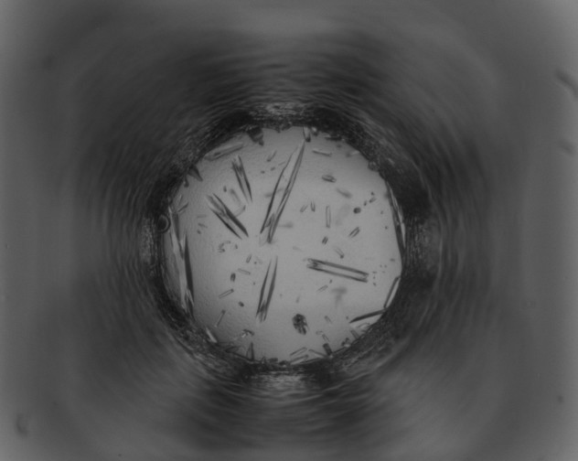 X0000092330651200710051315