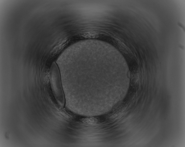 X0000092330652200710051315