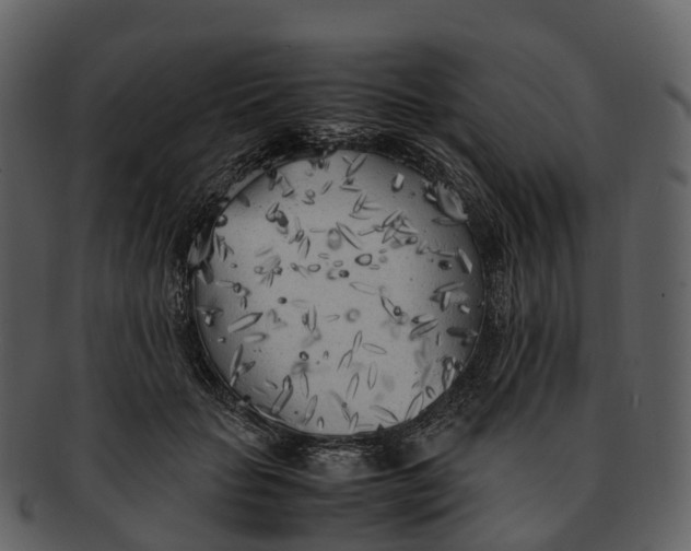 X0000092330653200710051316