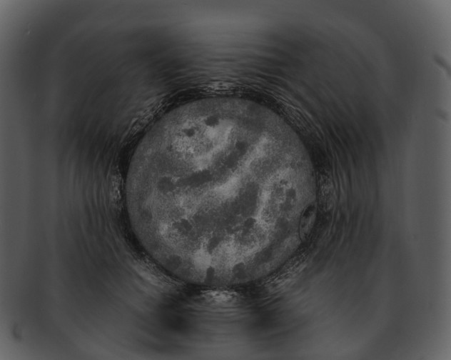 X0000092330654200710051316