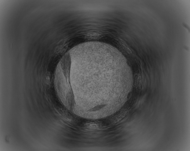 X0000092330655200710051316
