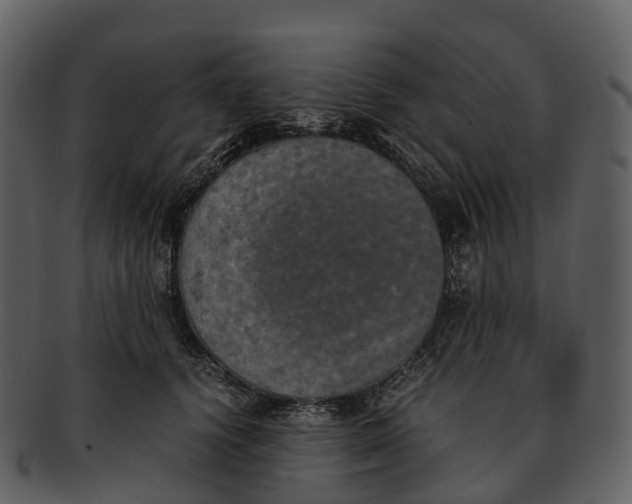 X0000092330656200710051316