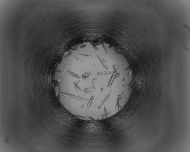 X0000092330657200710051316