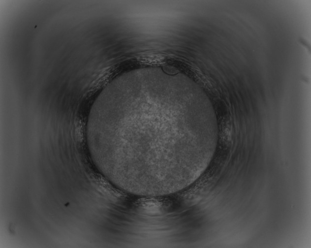 X0000092330658200710051316