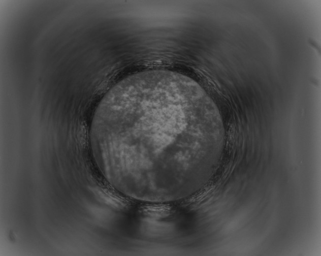 X0000092330659200710051316