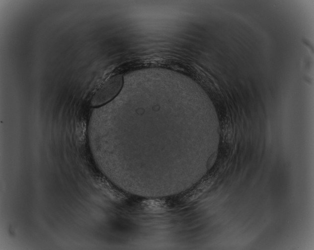 X0000092330660200710051316