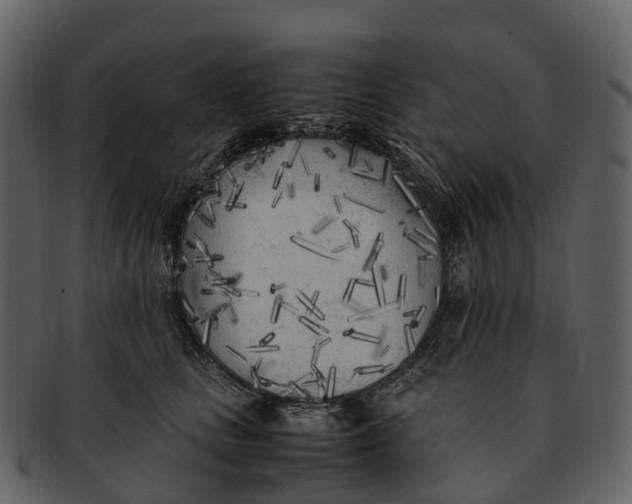 X0000092330661200710051316