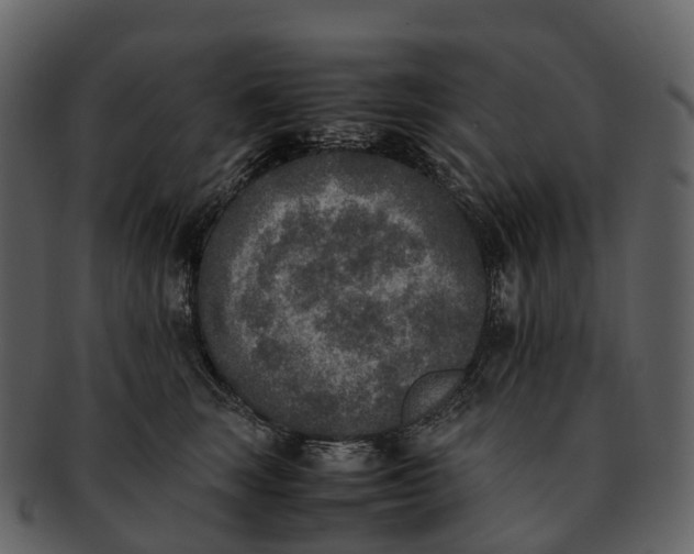 X0000092330663200710051316