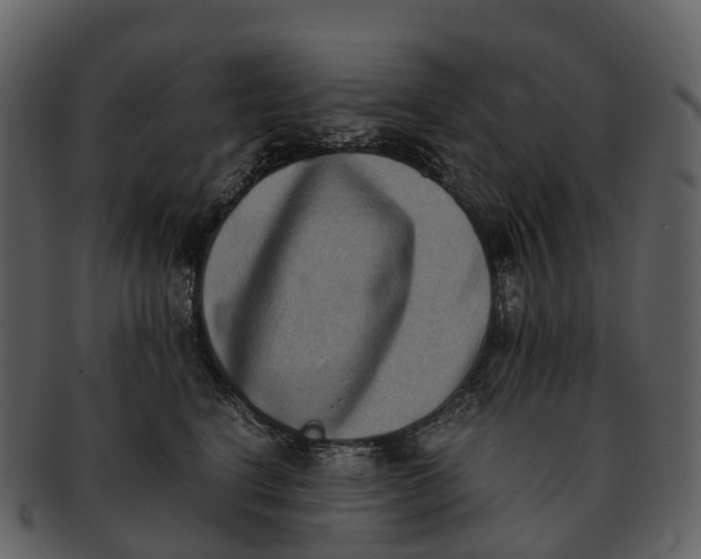 X0000092330664200710051316