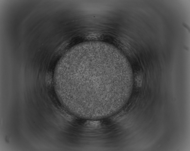 X0000092330665200710051316