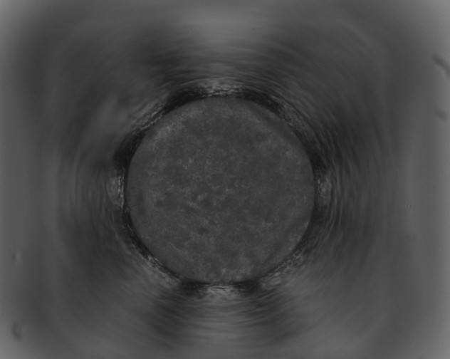 X0000092330666200710051316