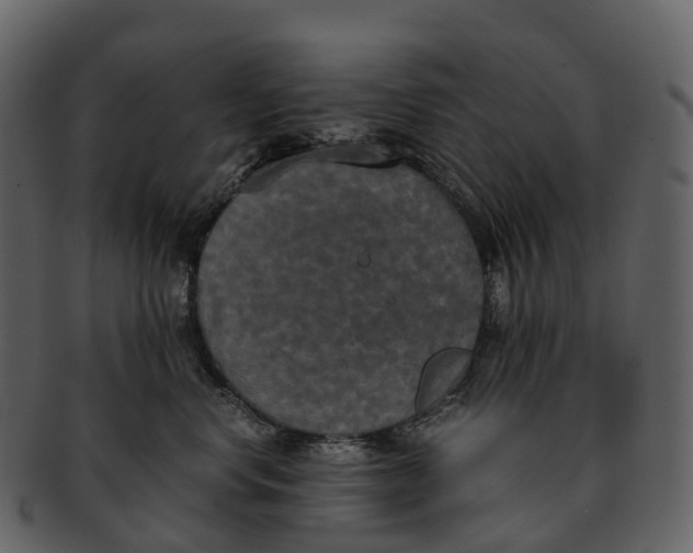 X0000092330668200710051316