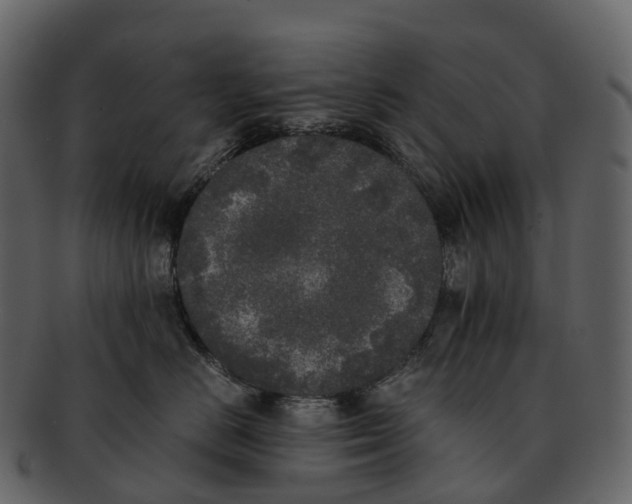 X0000092330670200710051316