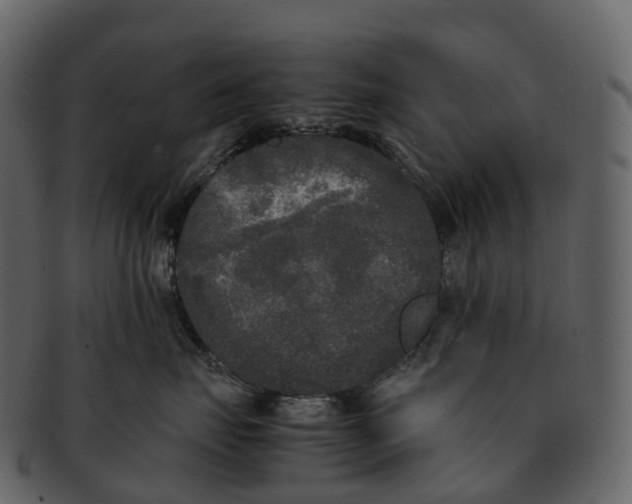 X0000092330671200710051316