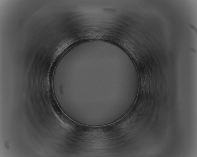 X0000092330674200710051315