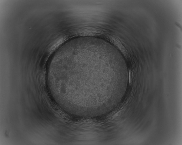 X0000092330675200710051315