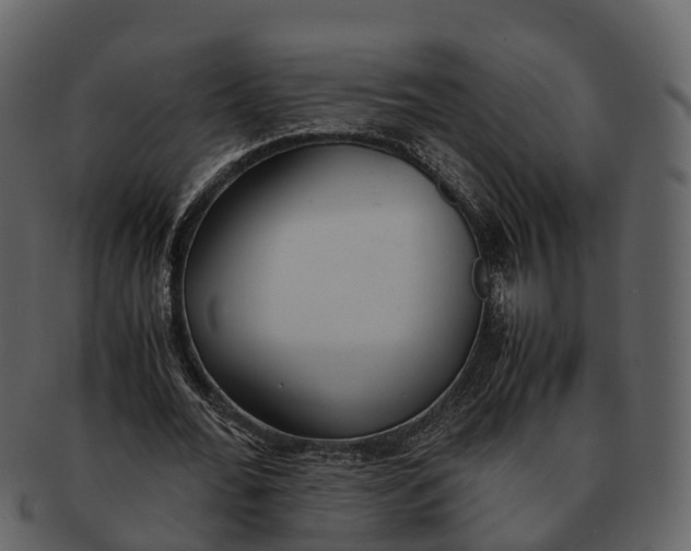 X0000092330676200710051315