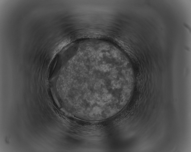 X0000092330679200710051315