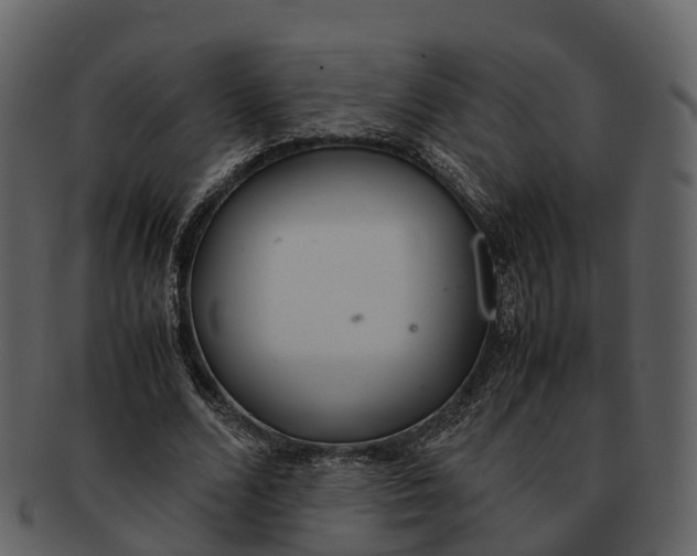 X0000092330680200710051315