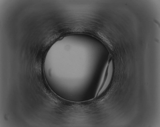 X0000092330681200710051315