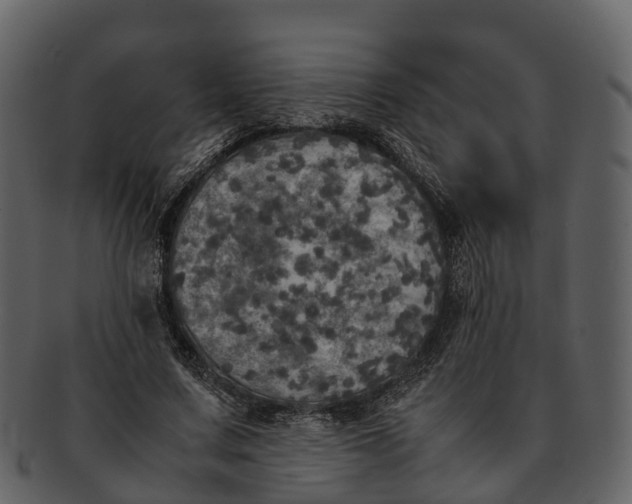 X0000092330683200710051315