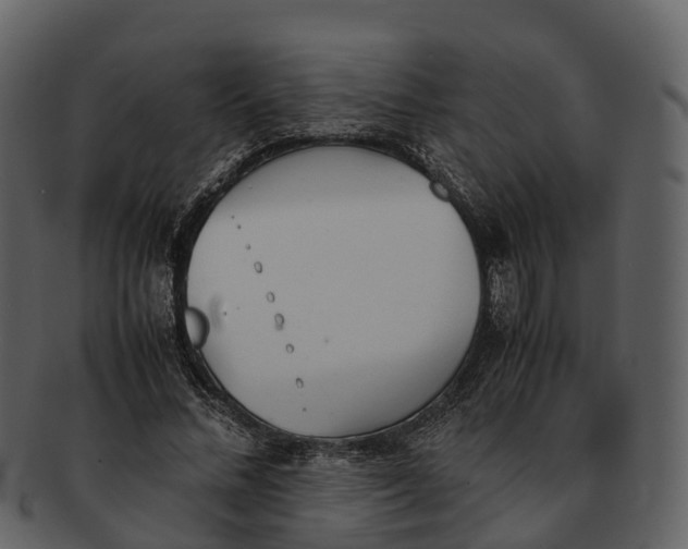 X0000092330684200710051315