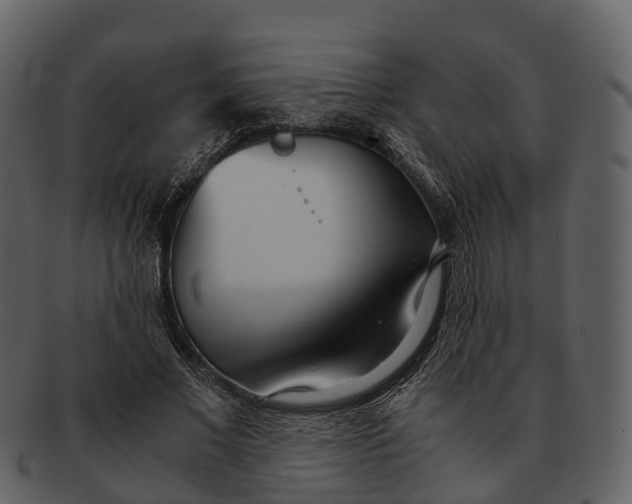 X0000092330685200710051315