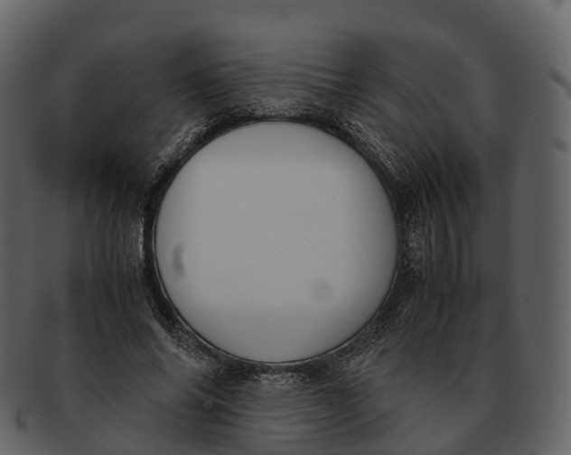 X0000092330686200710051315