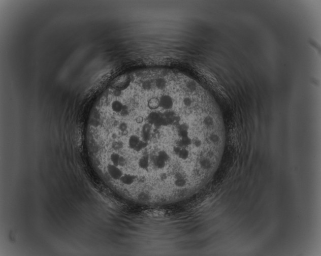 X0000092330687200710051315
