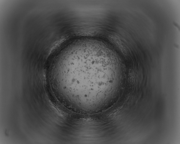 X0000092330688200710051315