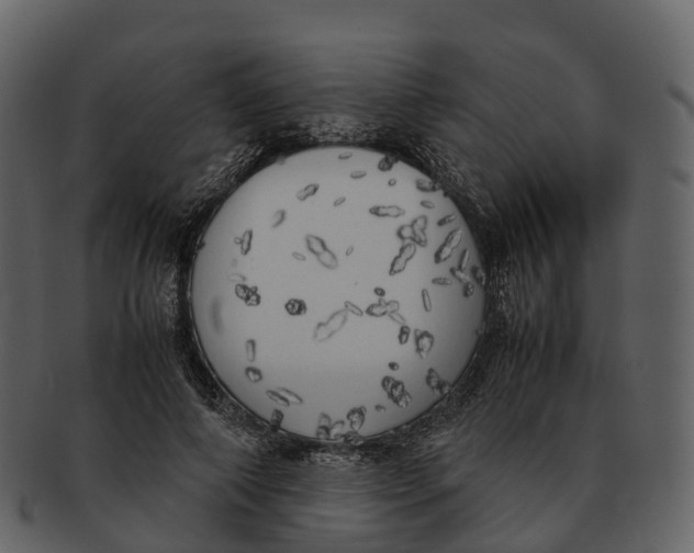 X0000092330690200710051315