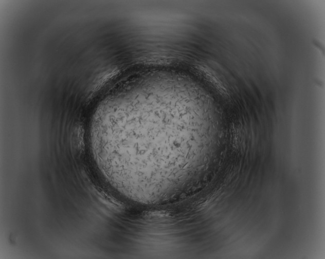 X0000092330692200710051315