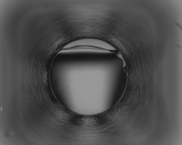 X0000092330693200710051315