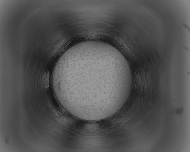 X0000092330694200710051315