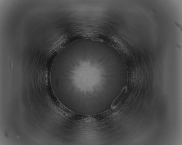 X0000092330696200710051315