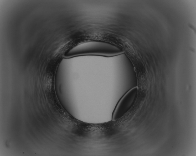 X0000092330697200710051315