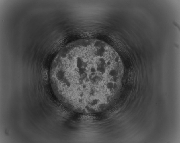 X0000092330699200710051315