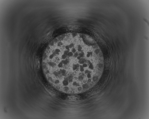 X0000092330703200710051315