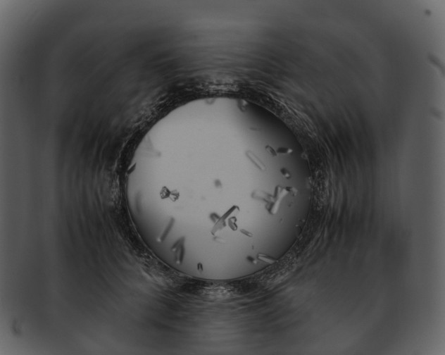 X0000092330704200710051315